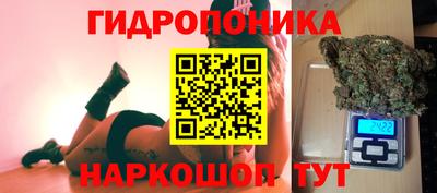 прущие крисы Дубна