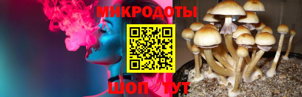 Миллерово  Псилоцибиновые грибы Magic Shrooms  Вход с VPN 